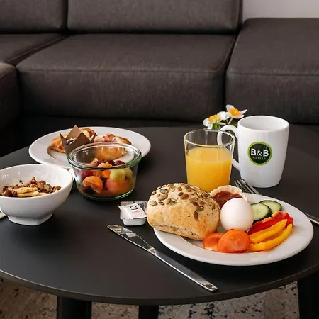 Weil Am Rhein/basel Hotel 3*